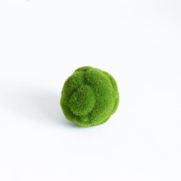 J99-Pottery - Misc Planter Pot Green Moss Sphere/Ball 6.5x5.9 Kokedama  Arcadia - Bates Nursery & Garden Center