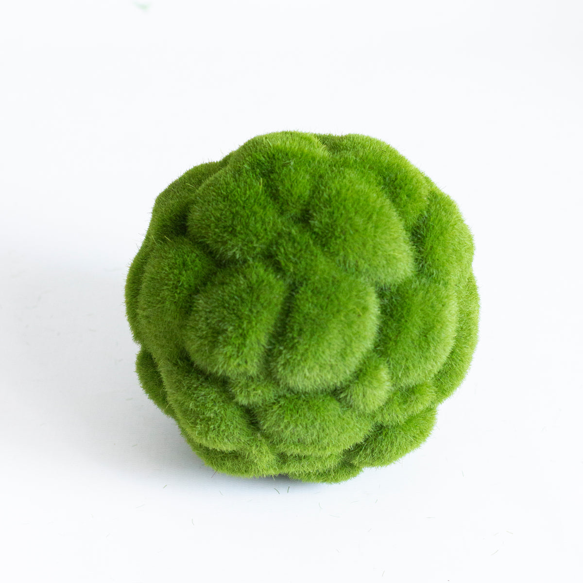 新品未使用★MOSS BOAD CIRCUS 149 22-23 2024 GARDEN BROS NUCLEAR CIRCUS; Jr's Big Adventure is Coming to