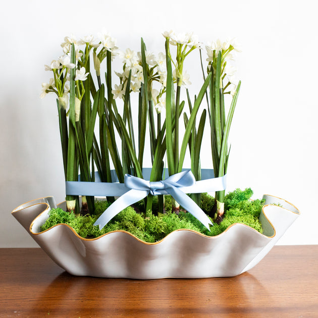 http://susangordonpottery.com/cdn/shop/files/paperwhites-25_1200x630.jpg?v=1696880198