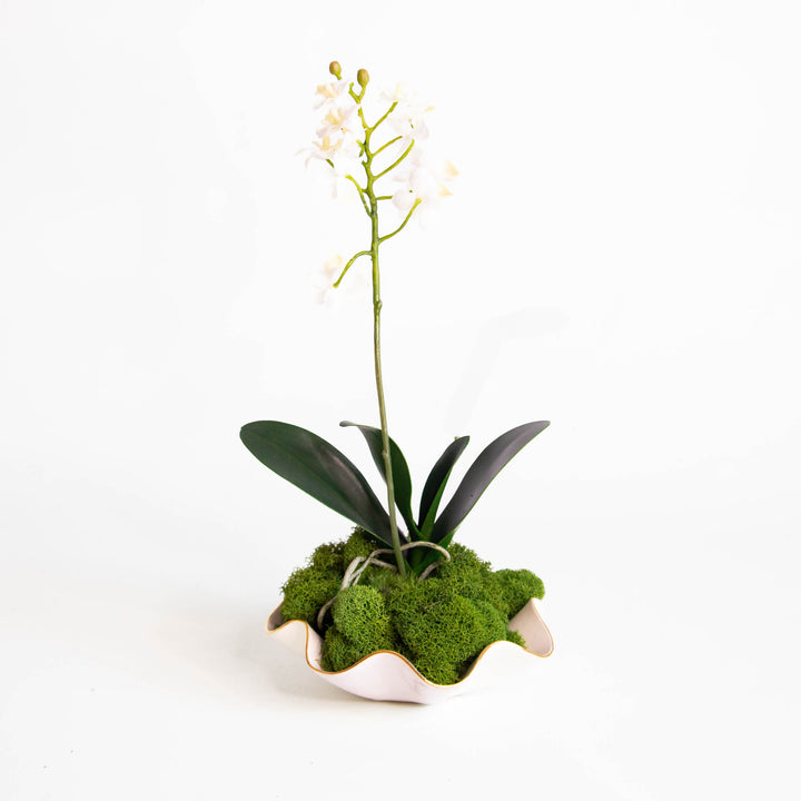 Preserved Reindeer Moss – Shop Susan Gordon Pottery
