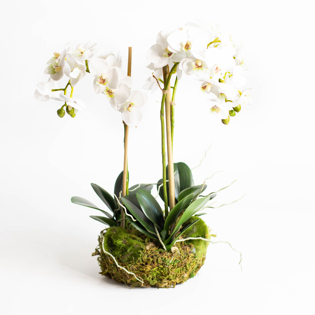 Susan Gordon Pottery Faux Orchid Drop-In
